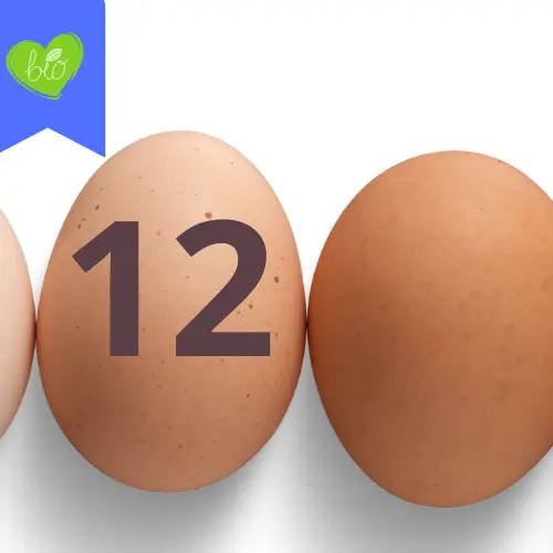 12 oeufs BIO 