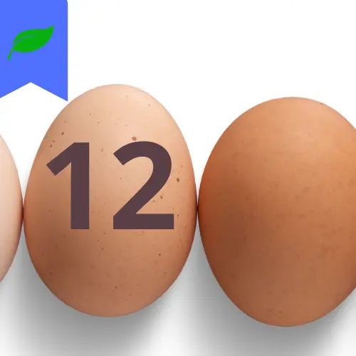 12 oeufs Plein Air